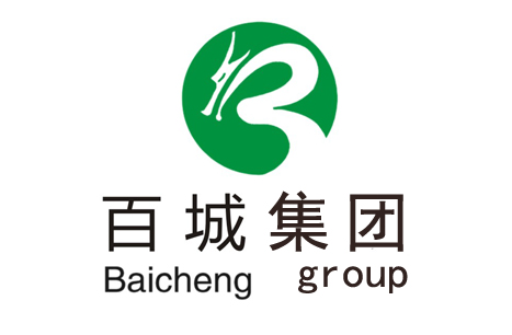 百城集團(tuán)